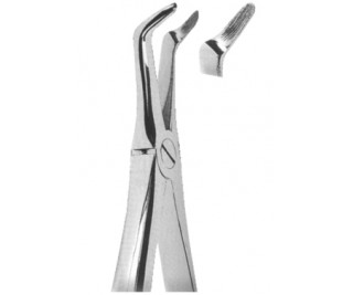 Extracting Forceps English pattern